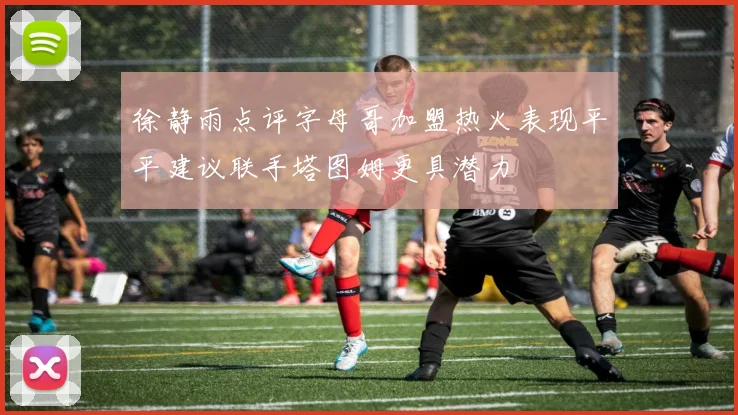 徐静雨点评字母哥加盟热火表现平平建议联手塔图姆更具潜力